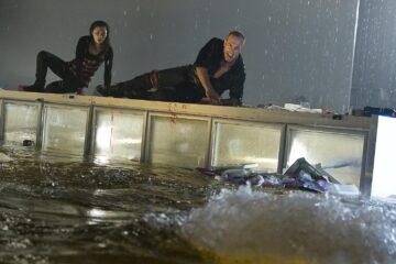 Bait Haie im Supermarkt TV Fernsehen RTL II DVD kaufen Streamen online Mediathek