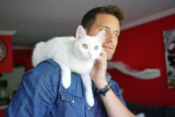 Cat Daddies Freunde für sieben Leben