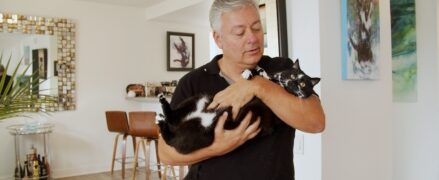 Cat Daddies Freunde für sieben Leben