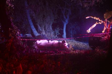 De noche los gatos son pardos Nachtkatzen