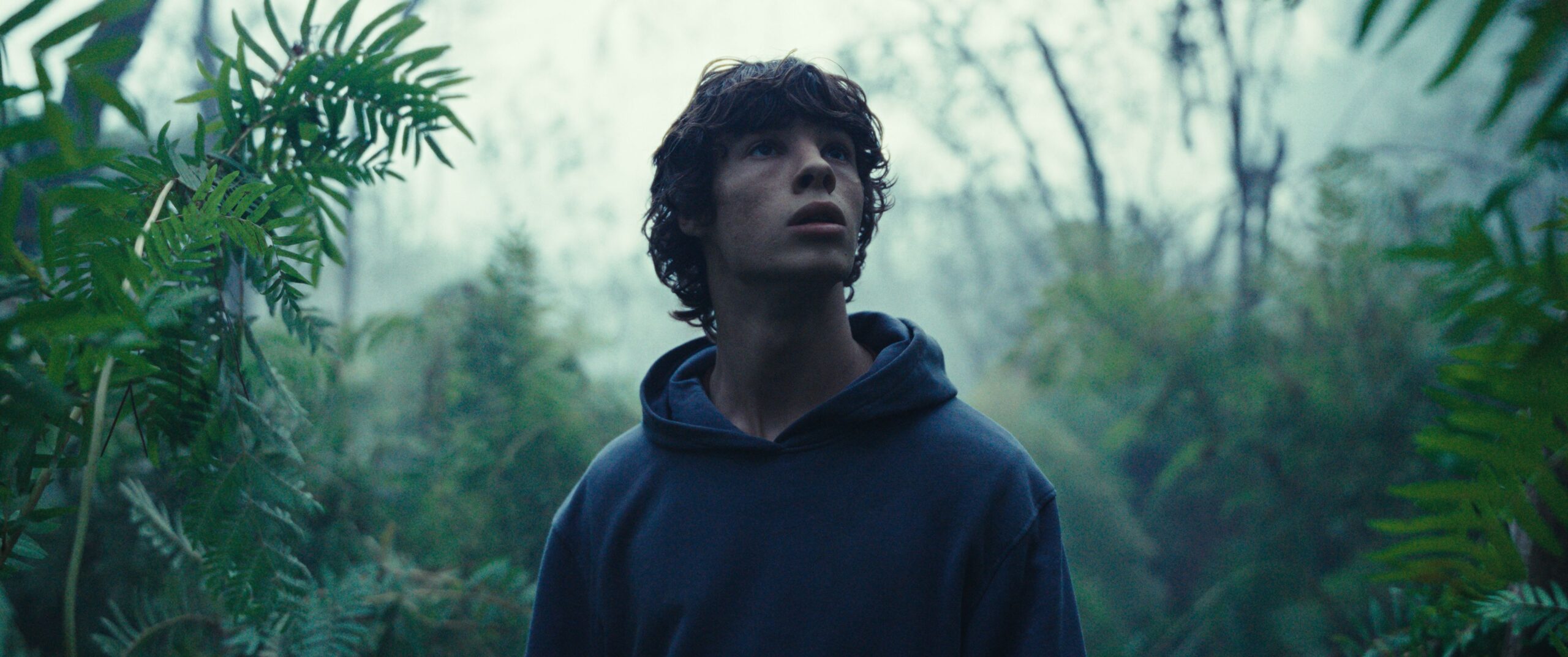 Animalia FilmRezensionen.de