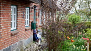 Mordsschwestern - Verbrechen ist Familiensache Die Made TV Fernsehen ZDF Streamen online Mediathek