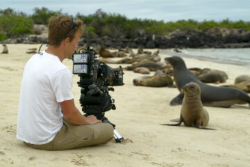 Tiere hautnah mit Bertie Gregory Animals Up Close with Bertie Gregory Disney+ Streamen online