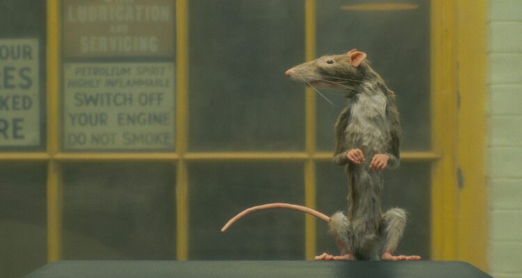 Der Rattenfänger The Rat Catcher Netflix Streamen online