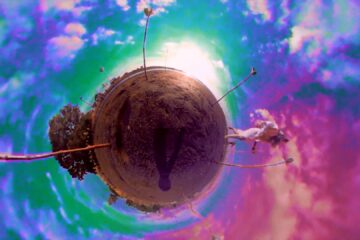 Love Is a Dog from Hell