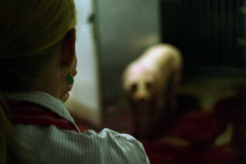 Wir und das Tier – Ein Schlachthausmelodram