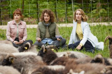 Die Heiland Wir sind Anwalt Schafe in der Stadt TV Fernsehen Das Erste ARD Streamen online Mediathek DVD kaufen