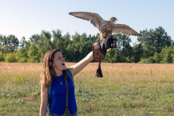 Mein Falke TV Fernsehen arte Streamen online Mediathek DVD kaufen