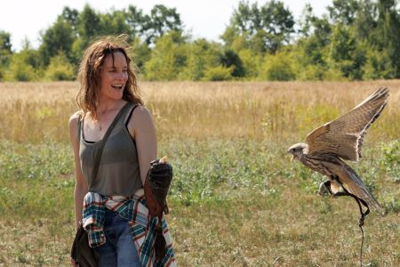 Mein Falke FilmRezensionen.de