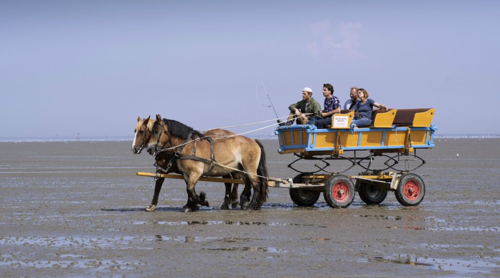 Mord oder Watt? Ebbe im Herzen FilmRezensionen.de Mord oder Watt? Ebbe im Herzen FilmRezensionen.de
