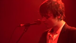 Peter Doherty Stranger in Own Skin