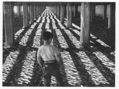 Der kleine Ausreißer Little Fugitive