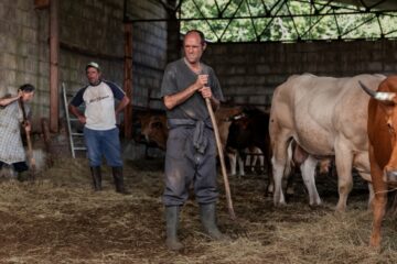 Wie wilde Tiere As Bestas