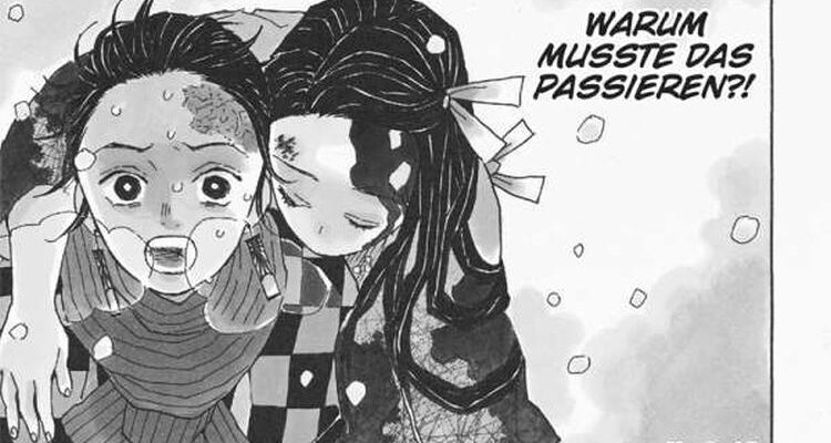 Demon Slayer: Kimetsu no Yaiba Manga Band 1