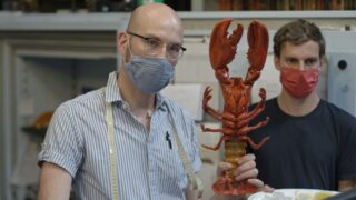 Die Ausstattung der Welt