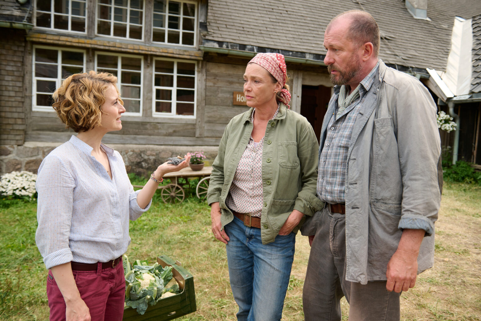 Ein Sommer im Schwarzwald FilmRezensionen.de