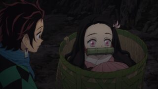 Demon Slayer: Kimetsu no Yaiba Anime Staffel 1