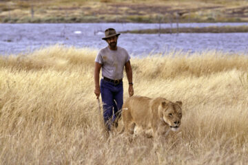 Der Löwe Itinéraire d'un enfant gâté TV Fernsehen arte Streamen online Mediathek Video on Demand DVD kaufen