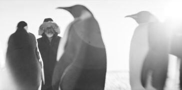 Rückkehr zum Land der Pinguine Voyage au pôle sud Antarctica Calling