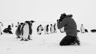 Rückkehr zum Land der Pinguine Voyage au pôle sud Antarctica Calling