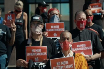 Christspiracy: The Spirituality Secret