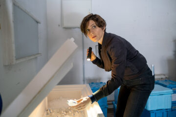 In Wahrheit - Zwischen Recht und Gerechtigkeit Tv Fernsehen arte ZDF Streamen online Mediathek Video on Demand DVD kaufen