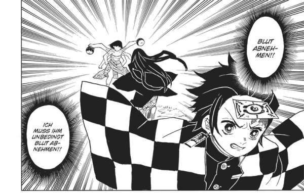 Demon Slayer: Kimetsu no Yaiba Manga Comic