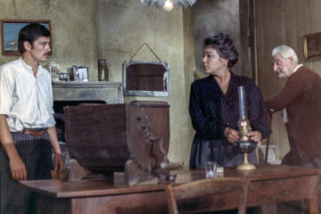 La Veuve Couderc Der Sträfling und die Witwe TV Fernsehen arte Streamen online Mediathek Video on Demand DVD kaufen