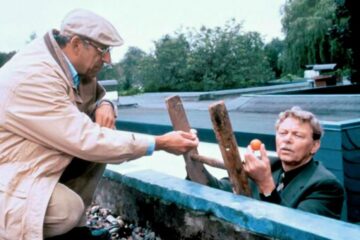 Der kleine Dachschaden