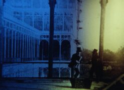 Die Macht der Gefühle