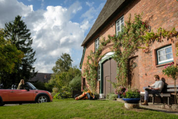 Neuer Wind im Alten Land Gestrandet TV Fernsehen ZDF Streamen online Mediathek Video on Demand DVD kaufen Herzkino