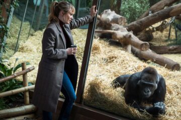Tatort Von Affen und Menschen Tv Fernsehen Das Erste ARD Streamen online Mediathek Video on Demand DVD kaufen