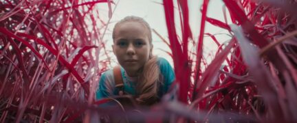 Akademia pana Kleksa Die Akademie des Meisters Klex Netflix Streamen online