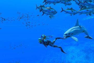 Endless Ocean Luminous Nintendo Switch