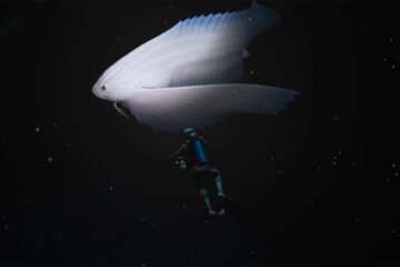 Endless Ocean Luminous Nintendo Switch