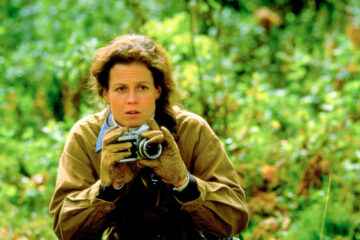 Gorillas im Nebel Gorillas in the Mist: The Story of Dian Fossey Tv Fernsehen arte Streamen online Mediathek Video on Demand DVD kaufen