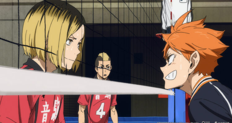 Haikyu!! Das Play-off der Müllhalde The Dumpster Battle