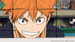 Haikyu!! Das Play-off der Müllhalde The Dumpster Battle