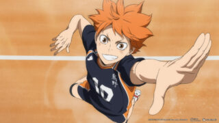 Haikyu!! Das Play-off der Müllhalde The Dumpster Battle