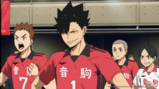 Haikyu!! Das Play-off der Müllhalde The Dumpster Battle