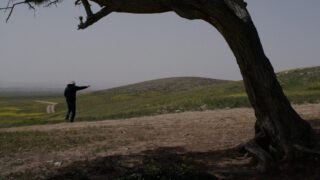 Under a Blue Sun Mitahat Le Shemesh Khula