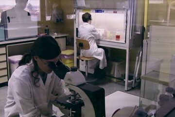 Der Fall Yara Gambirasio Hinreichende Beweise Il caso Yara: oltre ogni ragionevole dubbio The Yara Gambirasio Case: Beyond Reasonable Doubt Netflix Streamen online