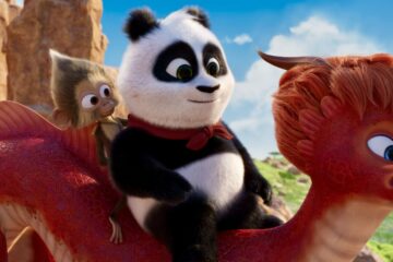 Panda Bear in Africa Petit panda en Afrique