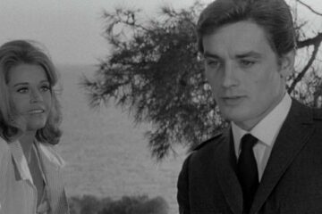 Les Félins Wie Raubkatzen TV Fernsehen arte Streamen online Mediathek DVD kaufen