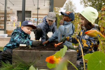 Die Macht der Mikroben Tv Fernsehen arte Streamen online Mediathek Video on Demand