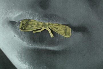 You Are the Truck and I Am the Deer