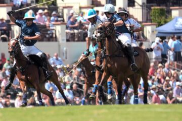 Polo Netflix Streamen online