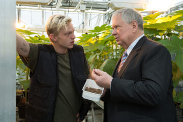 Der Staatsanwalt Nachts im Weinberg Tv Fernsehen ZDF DVD kaufen Streamen online Mediathek Video on Demand