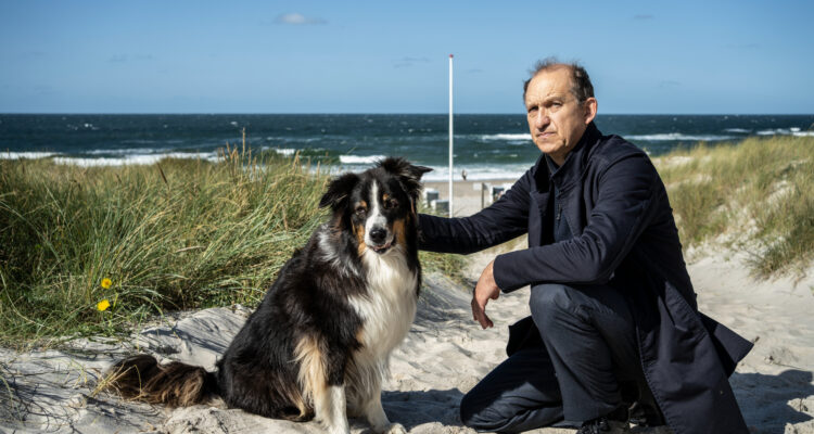 Nord Nord Mord - Sievers und der verlorene Hund TV Fernsehen ZDF Streamen online Mediathek Video on Demand DVD kaufen