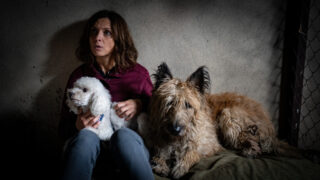 Nord Nord Mord - Sievers und der verlorene Hund TV Fernsehen ZDF Streamen online Mediathek Video on Demand DVD kaufen